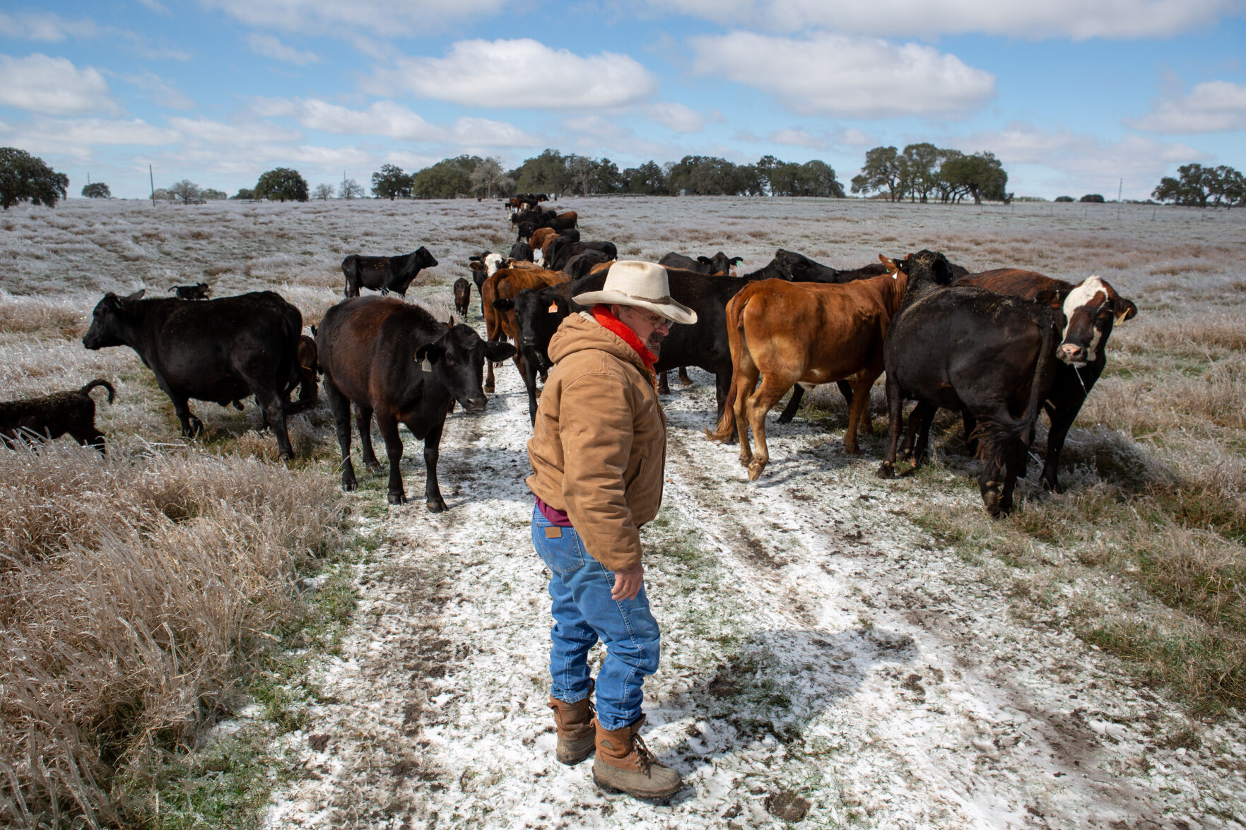 Winter storm in Goliad